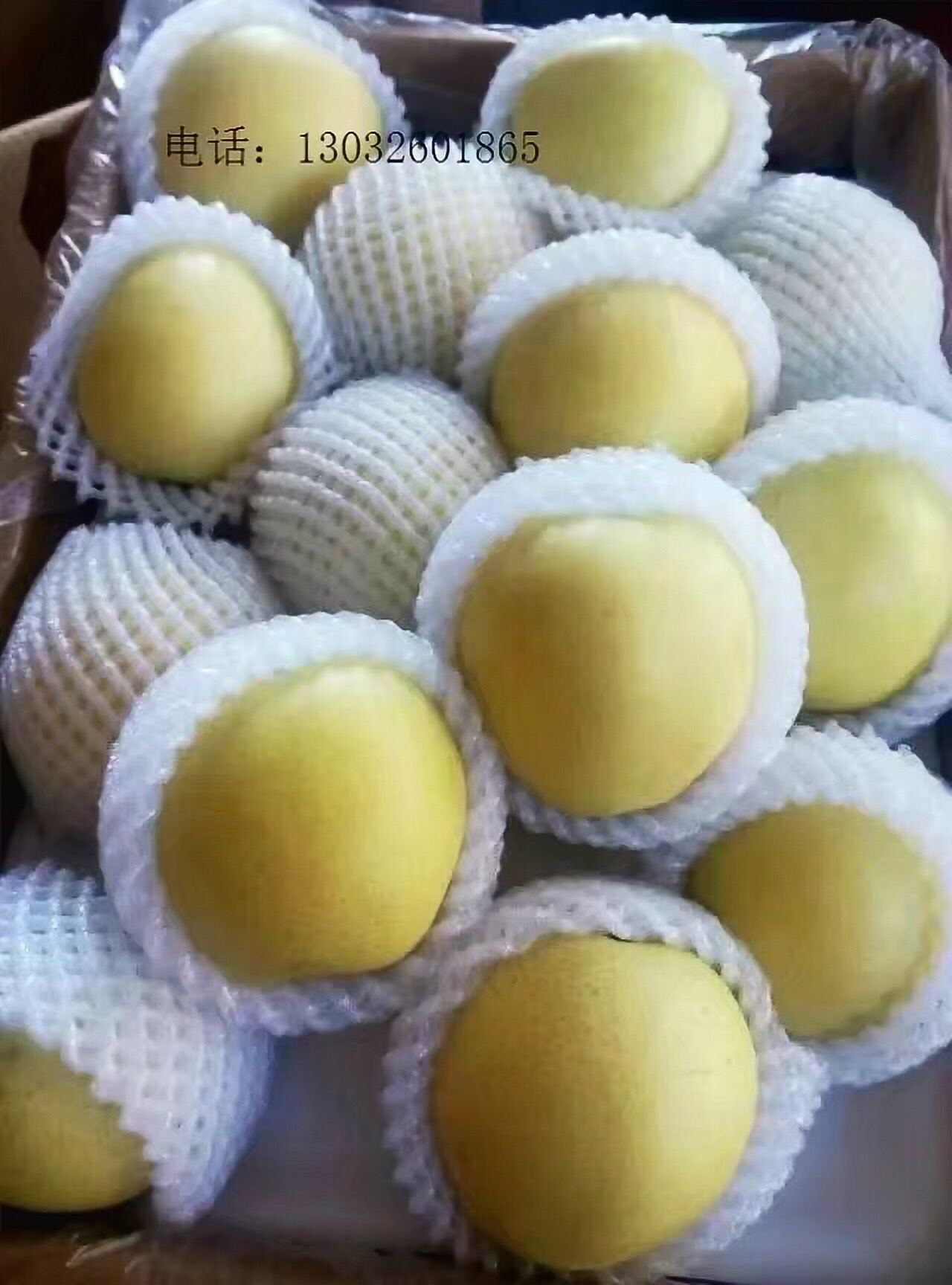 皇冠梨