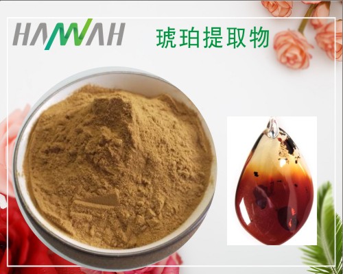 琥珀提取物101比例琥珀粉现货厂家供应