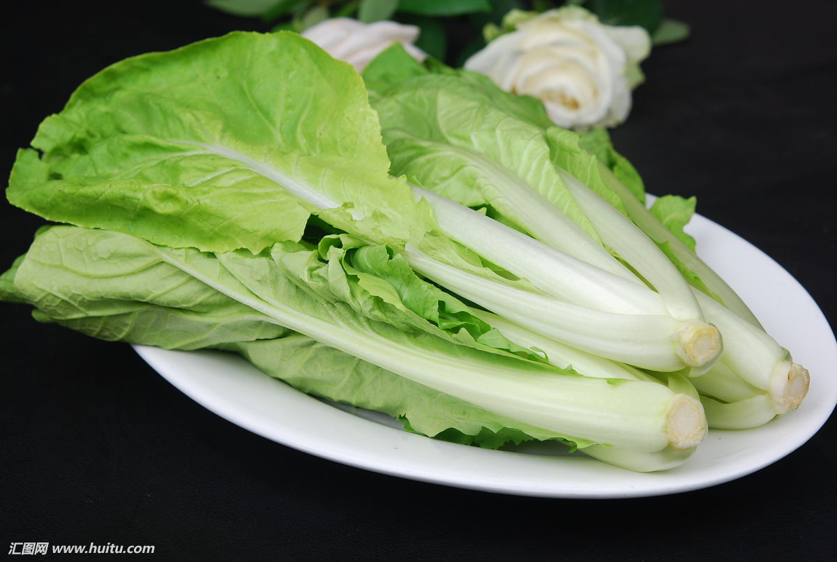 长沙食堂蔬菜配送公司 基地直供-小白菜