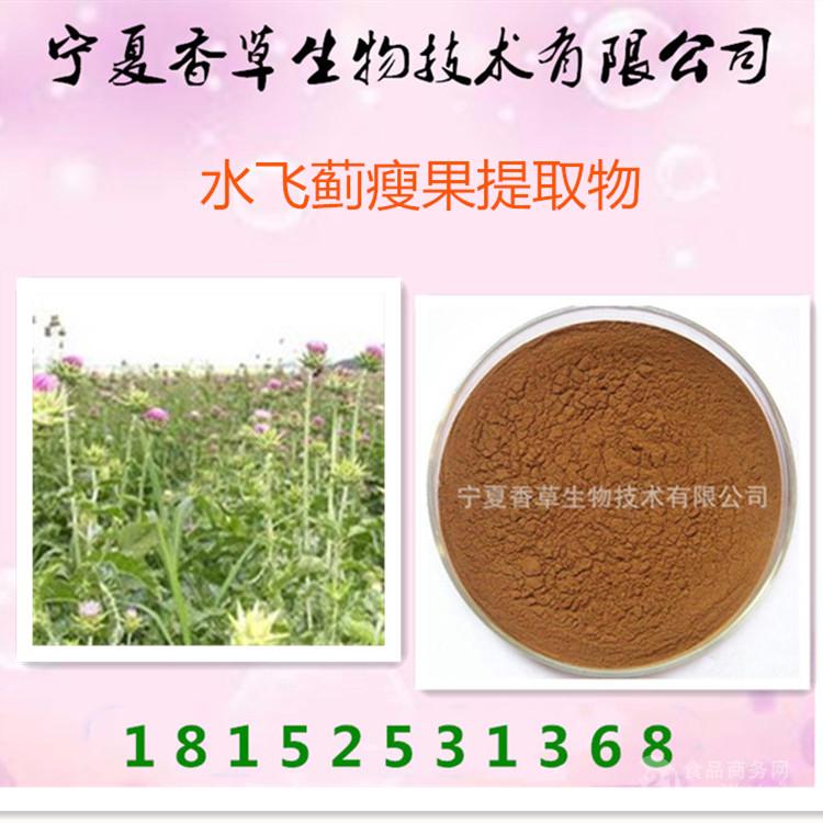水飞蓟瘦果提取物 宁夏野生水飞蓟全草提取物 浸膏速溶粉