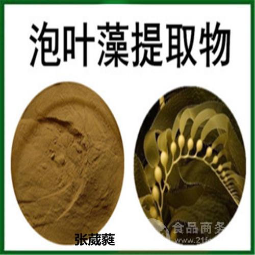 泡叶藻提取物浸膏粉泡叶藻多糖30泡叶藻粉