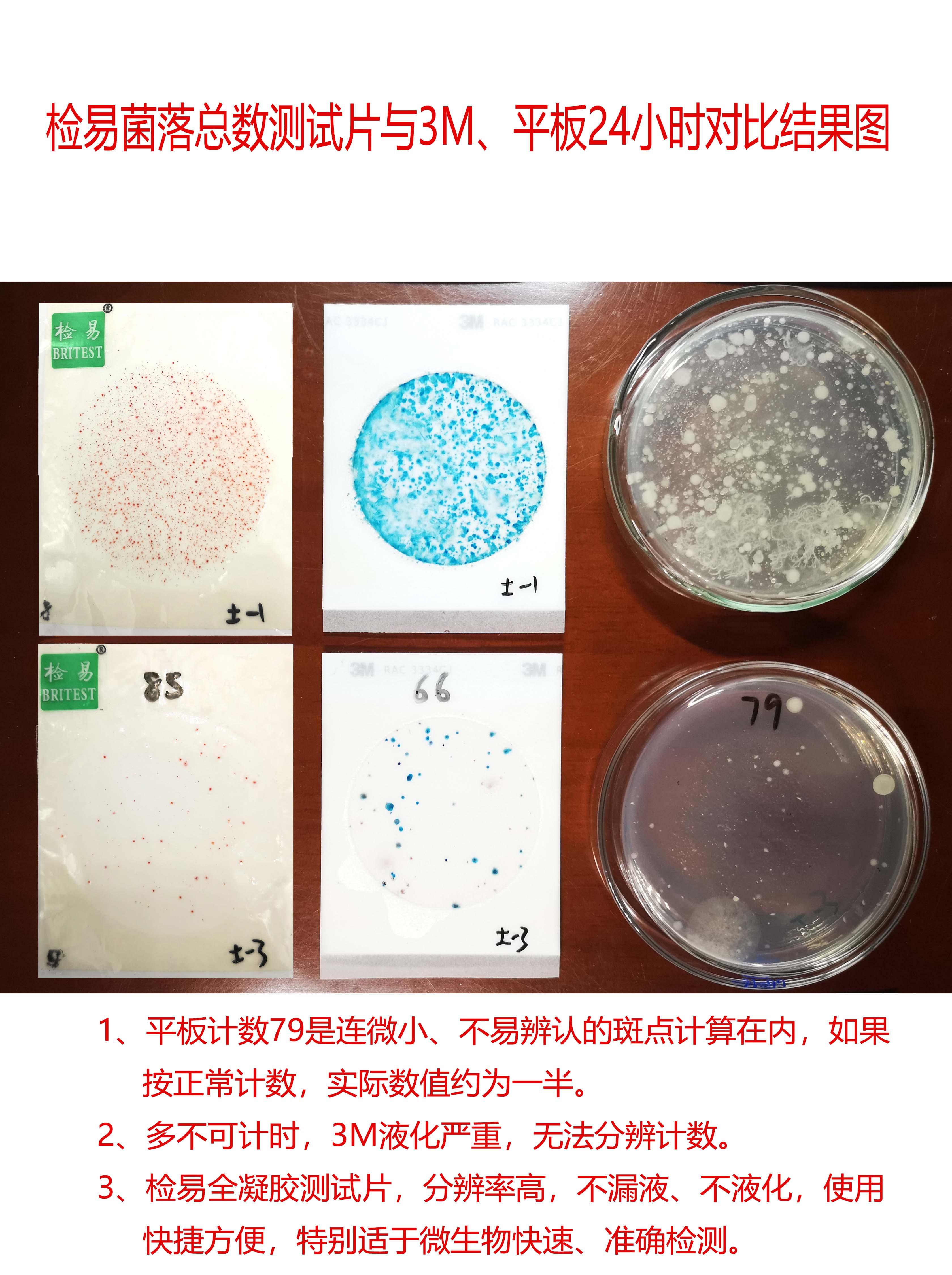 水大肠杆菌即用型干粉培养基-潍坊检易