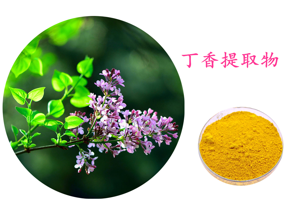 丁香提取物 丁香酚 药食同源原料