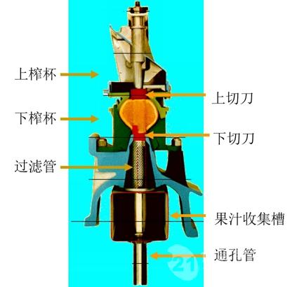 杯式榨汁机生产高品质柑橘汁就选扬州卡洛特