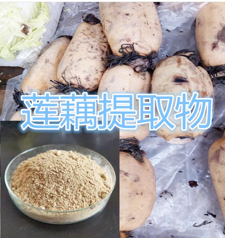 莲藕粉熟粉 莲子提取物莲子粉价格【产品名称】莲藕提取物 【英文名称