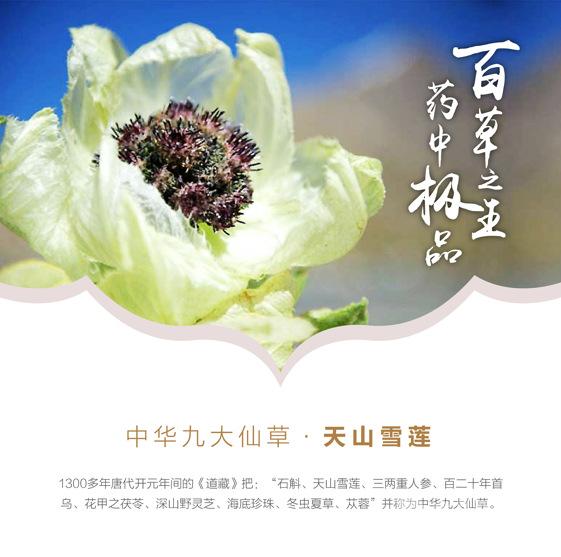 选取天山雪莲离体组织通过脱分化形成的愈伤组织作为继代种子,给予