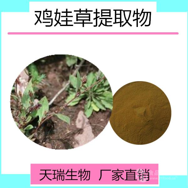 鸡娃草提取物 鸡娃草浓缩粉 天瑞生物