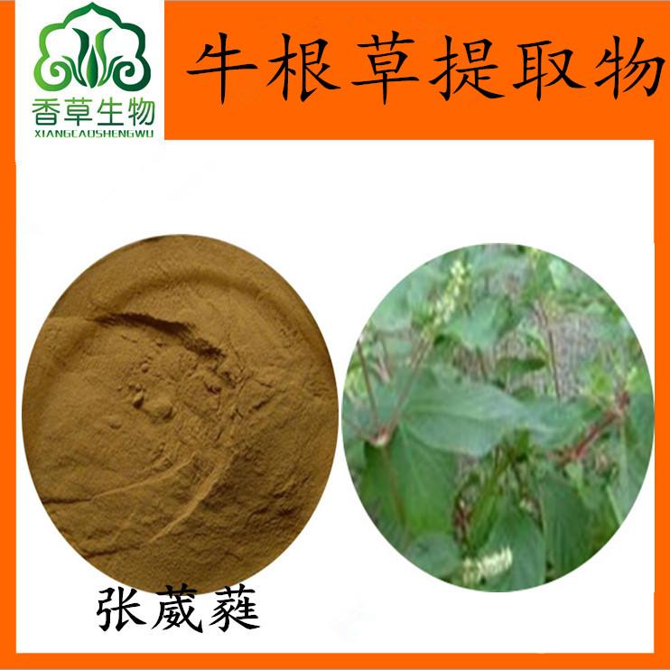 牛膝茎叶提取物牛根草粉80目怀牛膝叶粉牛膝叶黄酮