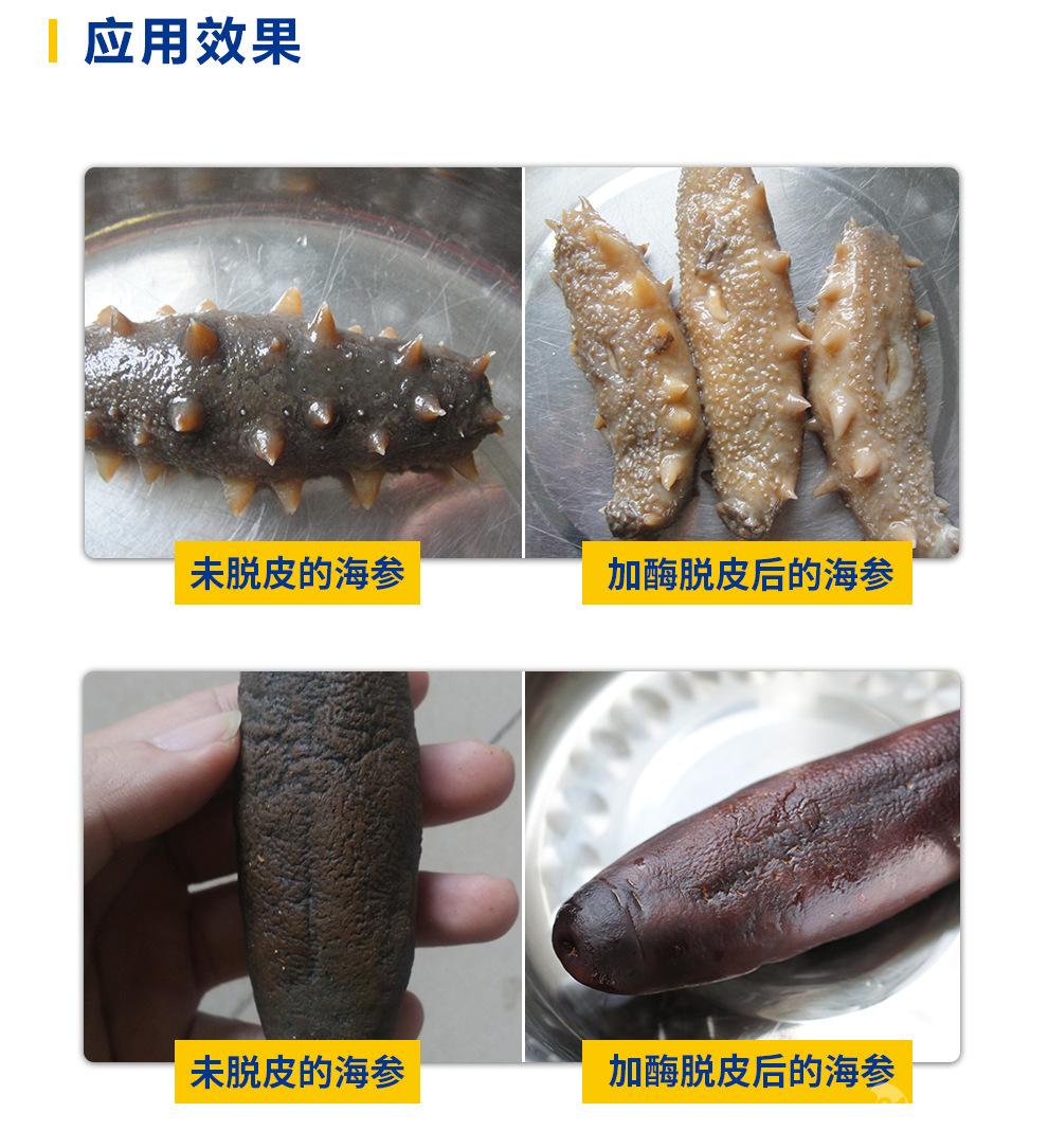 华堂聚瑞食品级海参去皮脱皮酶 复配蛋白酶刺参茄参海参脱皮剂