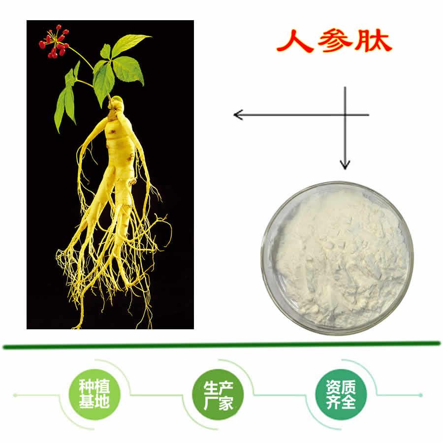 人参肽98%多规格速溶低聚小分子活性肽