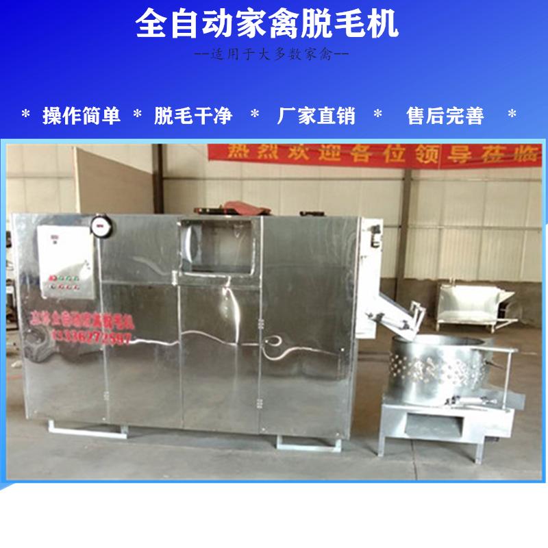 小型家禽脱毛机 鸡鸭鹅鸽立式全自动脱毛机精烫脱羽一体机