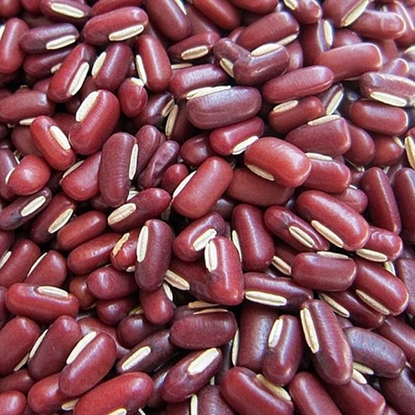 赤小豆检测方法
