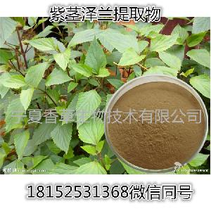 紫茎泽兰提取物解放草速溶粉败马草浸膏粉黑颈草浓缩粉