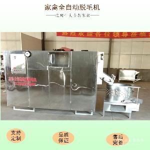 小型家禽脱毛机  鸡鸭鹅鸽立式全自动脱毛机精烫脱羽一体机