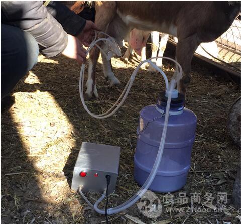 電動奶羊便攜吸擠羊奶器小型吸羊奶的擠奶器家用價格