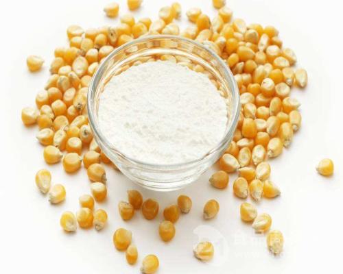 食用玉米淀粉98 玉米提取物 食品级 添加剂 20kg起订