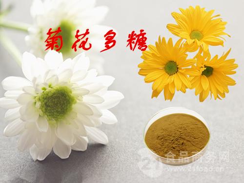 野菊花浸膏菊花提取液