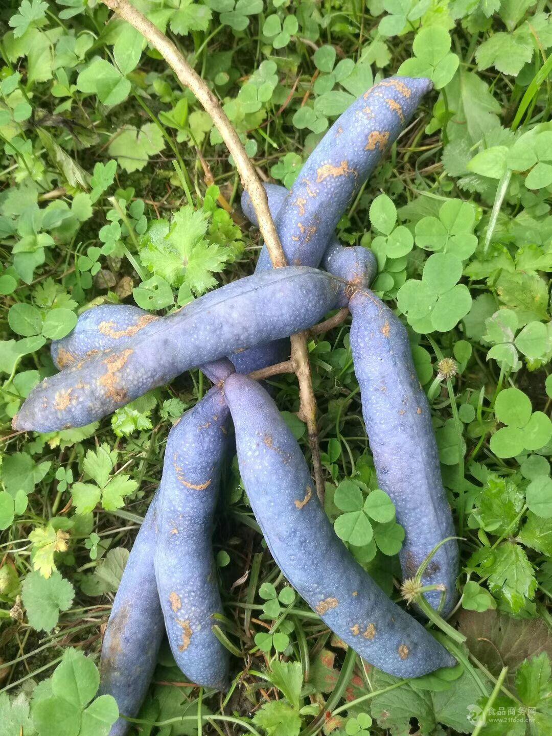 神农蓝蕉果种植前景蓝蕉果的营养