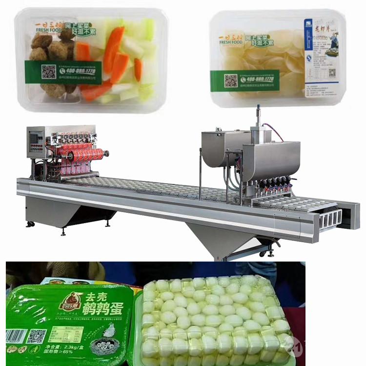 拓辉-盒装去壳鹌鹑蛋包装封口机-适用于冻肉、饺子系列