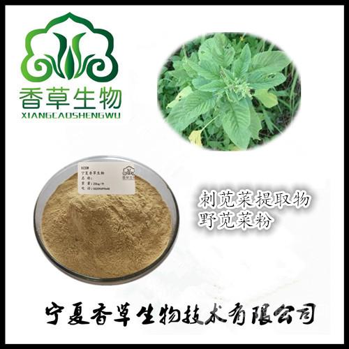 刺苋菜提取物30:1 厂家野苋菜粉 浓缩液 勒苋菜多糖 宁夏固原 香草生物-食品商务网