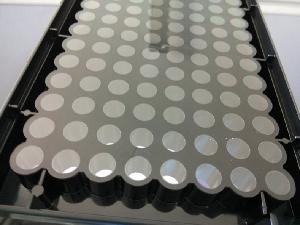 上海百千生物J09603全黑底透培養板96孔透明底黑邊酶標板