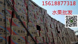 上海进口菠萝水果批发/采购团购高档进口水果批发配送