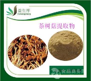 茶樹菇粉98%  茶樹菇提取物10：1  茶樹菇浸膏 包郵