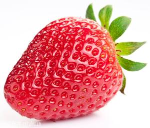 新鮮草莓 產地供應 新鮮采摘