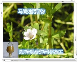 马齿苋提取物