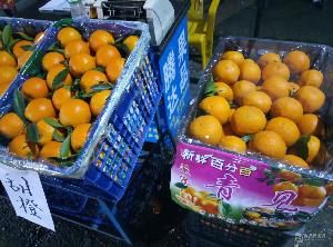 廣州江南水果批發市場代賣