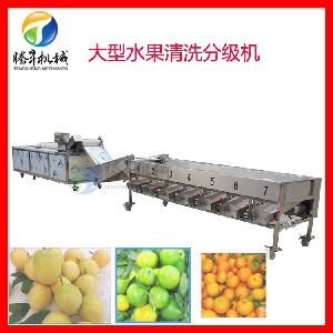 水果蘋果自動分選機 水果清洗分選一體機廠家