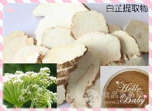 白芷固体饮料白芷提取物 代加工厂家