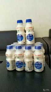 酵樂乳乳酸菌飲品乳飲料340mlx12瓶